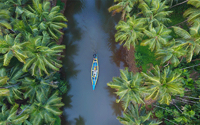 Kerala Nature & Backwater Escape Kerala-3-Nights-4-Days-_pk35273_1.gif