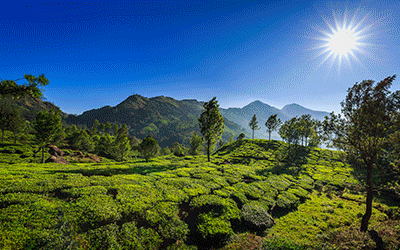 Classic Kerala Getaway:5 Days of Natural Beauty Kerala-4-Nights-5-Days-_pk35268_1.gif